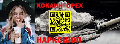 спиды Гусев