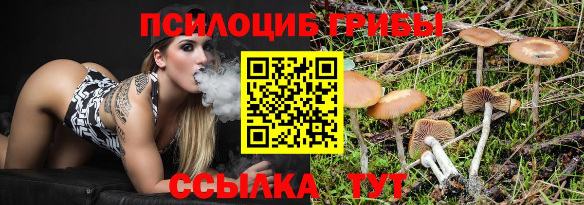 Псилоцибиновые грибы MAGIC MUSHROOMS Берёзовский