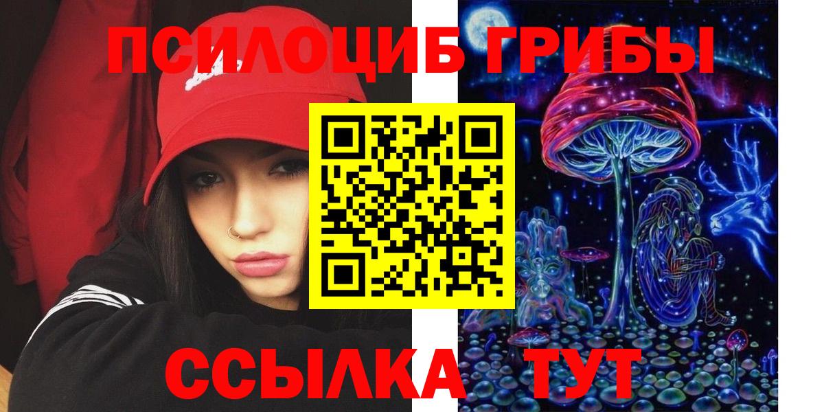 Берёзовский  Галлюциногенные грибы Cubensis  Вход с VPN 