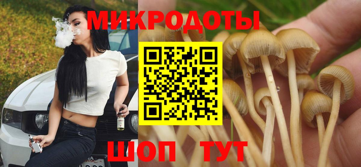 Псилоцибиновые грибы прущие грибы  Берёзовский 