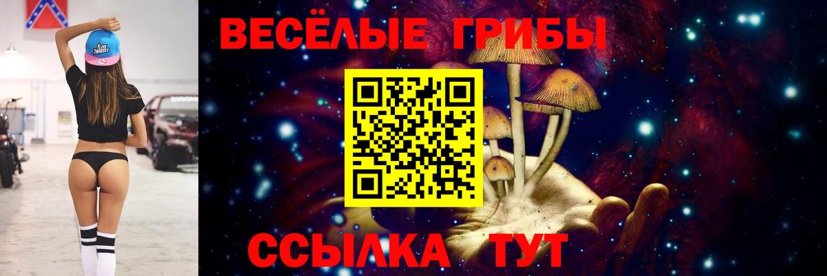 Берёзовский  Псилоцибиновые грибы GOLDEN TEACHER  Псилоцибиновые грибы Psilocybine cubensis  Вход с VPN 
